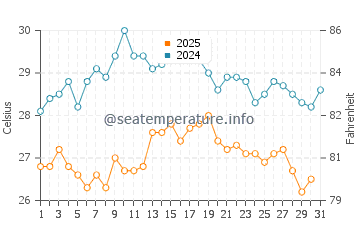 Wassertemperatur Gioia Tauro im August