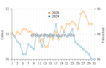 Temperature dell'acqua a Grassy Key ad agosto