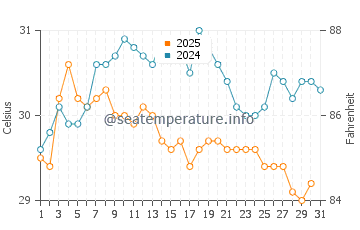 Wassertemperatur Haad Rin im August