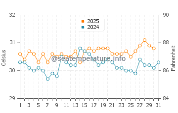 Hillsboro Beach water temp chart in August