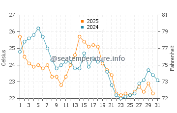 Ideal Beach water temp chart in August