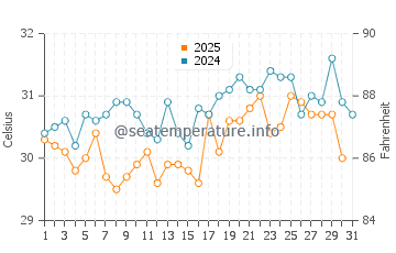Temperatura da água em Irapa em agosto