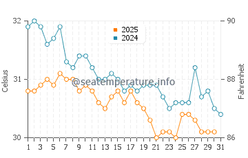 Marsa Shagra water temp chart in August