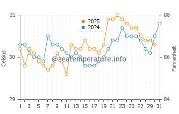Temperatura del agua en Boca del Río en agosto