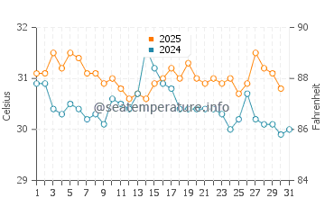 Miami water temp chart in August