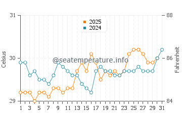 Temperature dell'acqua a Nanchital ad agosto