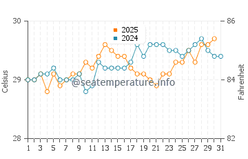 Temperature dell'acqua a Orchid Bay ad agosto