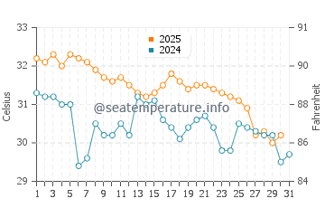 Palm Harbor water temp chart in August