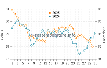 Palmetto Dunes water temp chart in August