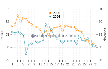 Palmetto water temp chart in August