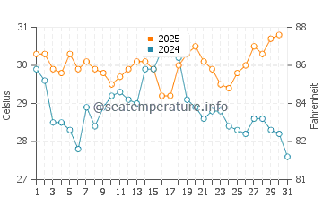 Temperatura del agua en Palmilla en agosto