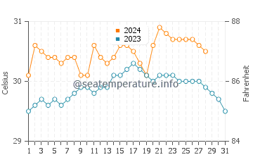 Paracale water temp chart in August