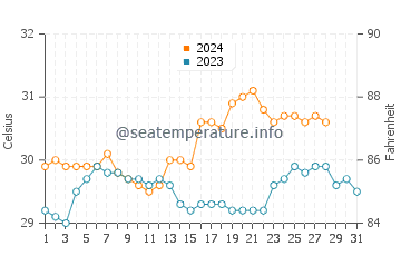 Temperatura del agua en Cervantes en agosto