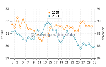 Plantation water temp chart in August
