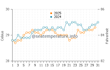 Temperature dell'acqua a Playa Bávaro ad agosto