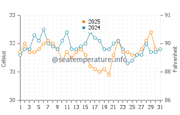 Temperature dell'acqua a Playa Encanto ad agosto