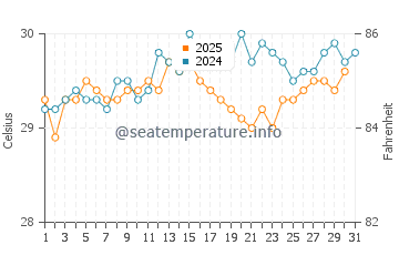 Temperature dell'acqua a Playa Rincon ad agosto