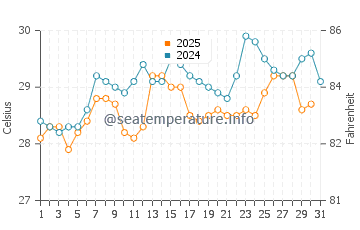 Temperature dell'acqua a Pointe Sarene ad agosto