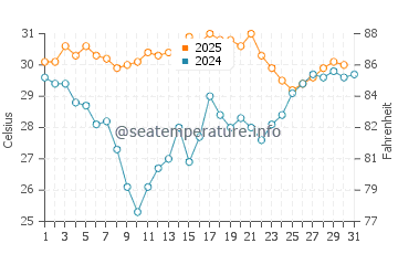 Port Canaveral water temp chart in August