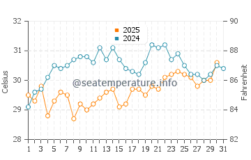 Wassertemperatur Port Mansfield im August