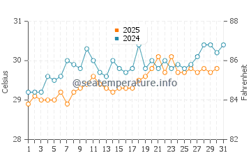 Temperature dell'acqua a Puerto Castilla ad agosto