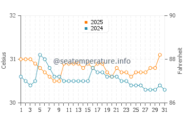 Temperature dell'acqua a Rincón de Guayabitos ad agosto