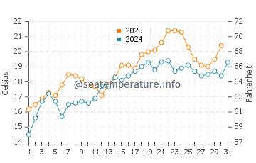 Rincon Point water temp chart in August