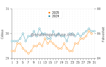 Temperature dell'acqua a Rincon ad agosto