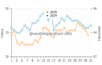 Wassertemperatur Rosignol im August