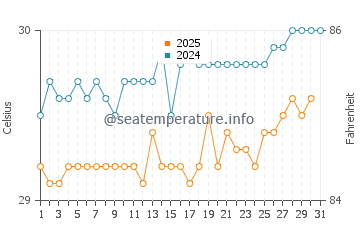 Temperature dell'acqua a Charlestown ad agosto