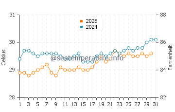 Temperature dell'acqua a Sainte Luce ad agosto