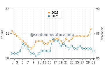 Temperatura del agua en Sayulita en agosto