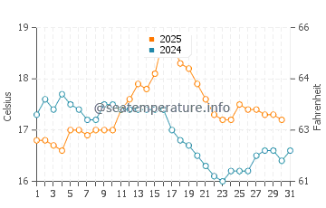 Temperature dell'acqua a Shannon ad agosto