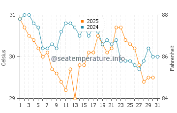Shell Island water temp chart in August