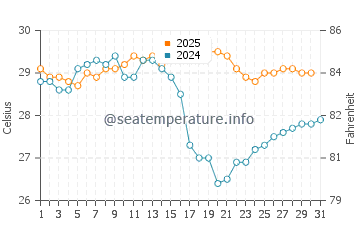 Shelly Bay Beach water temp chart in August