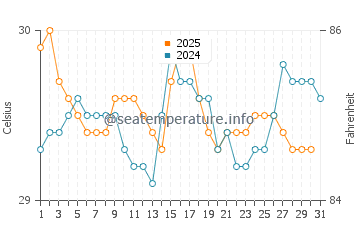 Siladen Island water temp chart in August