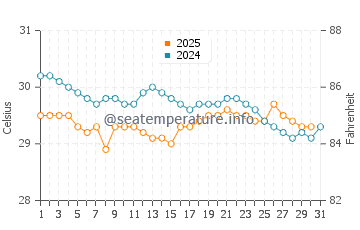Tiku water temp chart in August