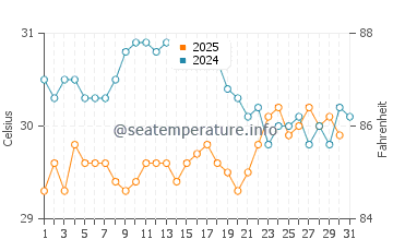 Tomigusuku water temp chart in August