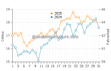 Umina Beach water temp chart in August