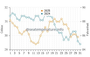 Temperature dell'acqua a St. Martin ad agosto