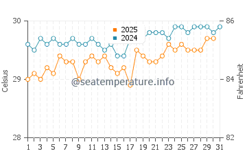 Temperature dell'acqua a Vieux-Habitants ad agosto