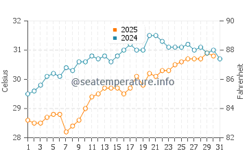 Whitecap Beach water temp chart in August