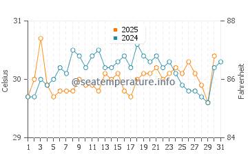 Wassertemperatur Xcalak im August