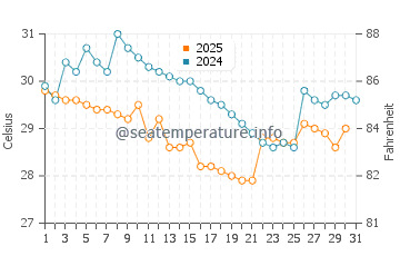 Wassertemperatur Xinzao im August