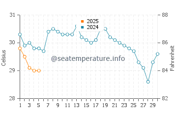 Temperature dell'acqua a Palm Harbour a settembre