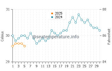 Temperature dell'acqua a Saint John's a settembre