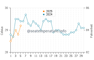 Temperature dell'acqua a Saly a settembre