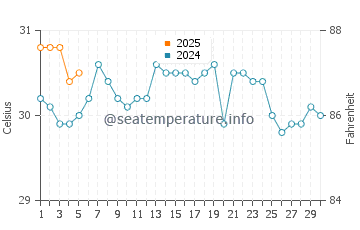 Temperature dell'acqua a Singer Island a settembre