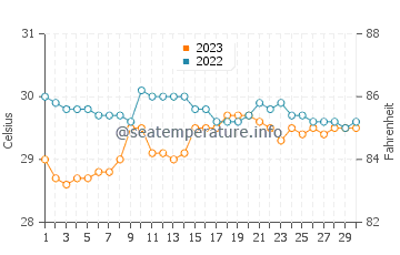 Temperatura del agua en Siquijor en septiembre