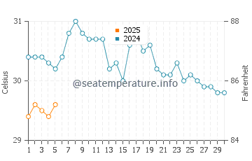 Temperature dell'acqua a San Fernando a settembre